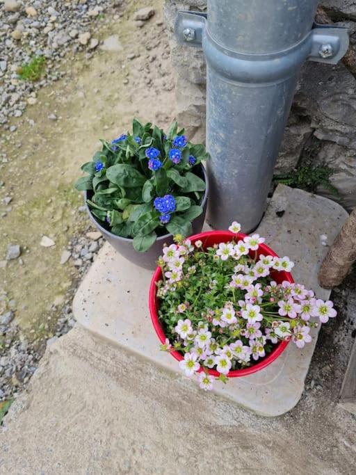Appartement De La Laiterie Avec Petit Jardin. Eysus Bagian luar foto